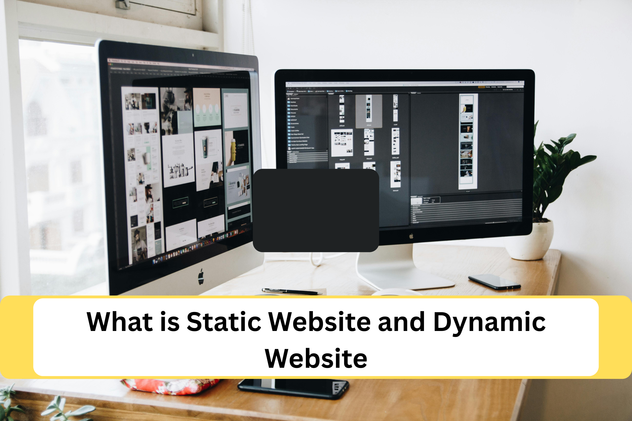 Select What is Static Website and Dynamic Website What is Static Website and Dynamic Website