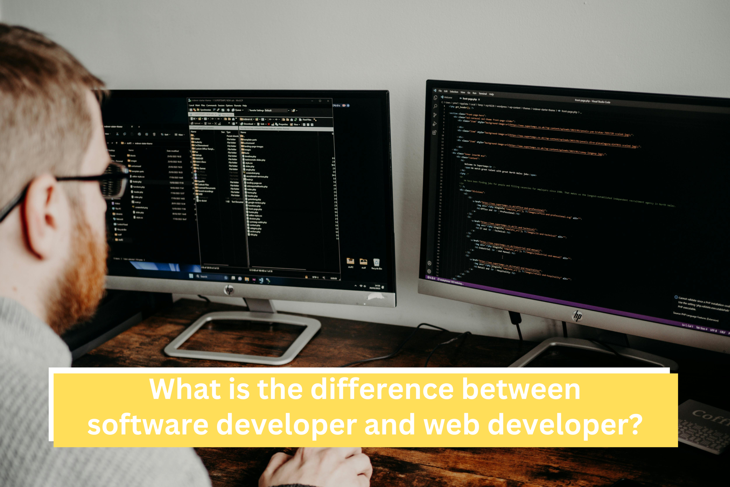 What is the difference between software developer and web developer?